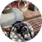TG Avatar