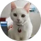 Natalie Rogerson Avatar